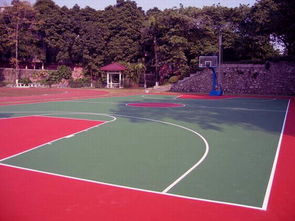 六安硅pu塑膠球場(chǎng)施工廠家