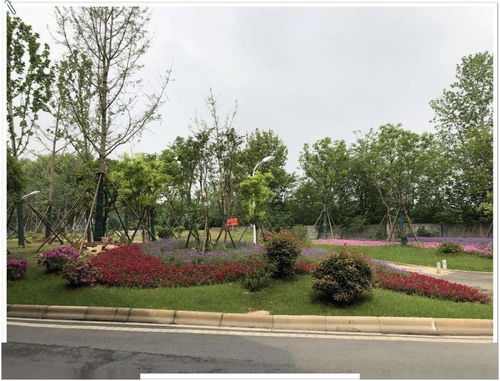 兩金 兩銀 武漢園建斬獲4項(xiàng)武漢市園林綠化優(yōu)質(zhì)工程獎(jiǎng)