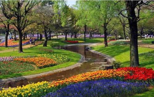 福州榕川隨車吊搬運 不同季節園林綠化施工要素和注意事項