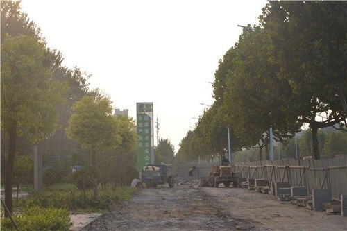 黃淮 刮 起 綠化風(fēng) 綠化篇