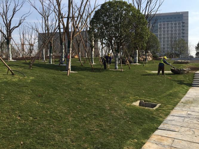 武漢青山江灘二期園林景觀(guān)綠化工程 - 美篇