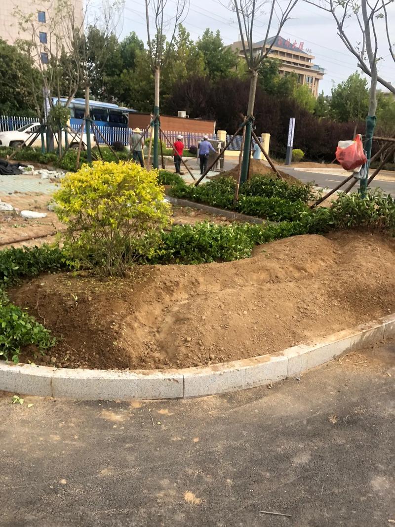 園林綠化工程 #小區(qū)綠化 #花園施工 #庭院景觀(guān)設(shè)計(jì) #景