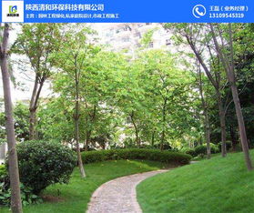 園林工程 清和園林專(zhuān)業(yè)團(tuán)隊(duì) 防風(fēng)沙園林工程